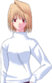 Co arcueid+nrm.png